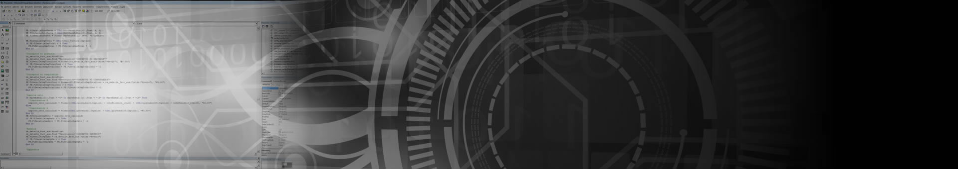 Desarrollo de Sistemas a medida